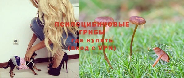 a pvp Алзамай